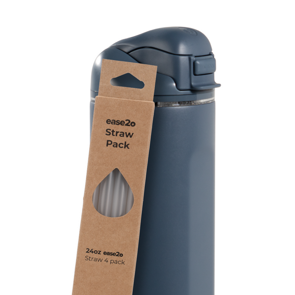 Ease2o Straws 4 Pack 24oz L9
